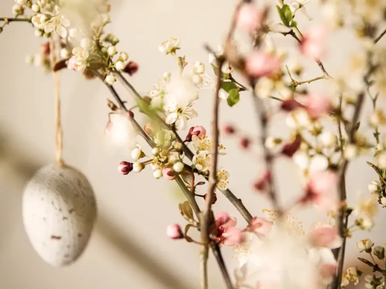 Quali bollicine abbinare con il menù di Pasqua? 